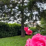 Il Pino Casaleggio Boiro