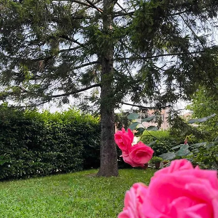 Il Pino * Casaleggio Boiro